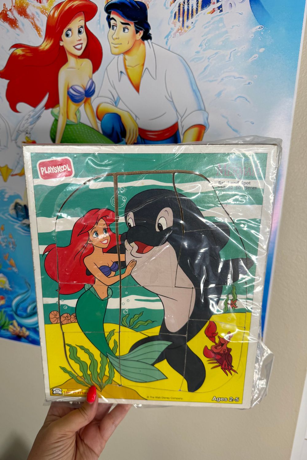 ARIEL & SPOT PUZZLE*