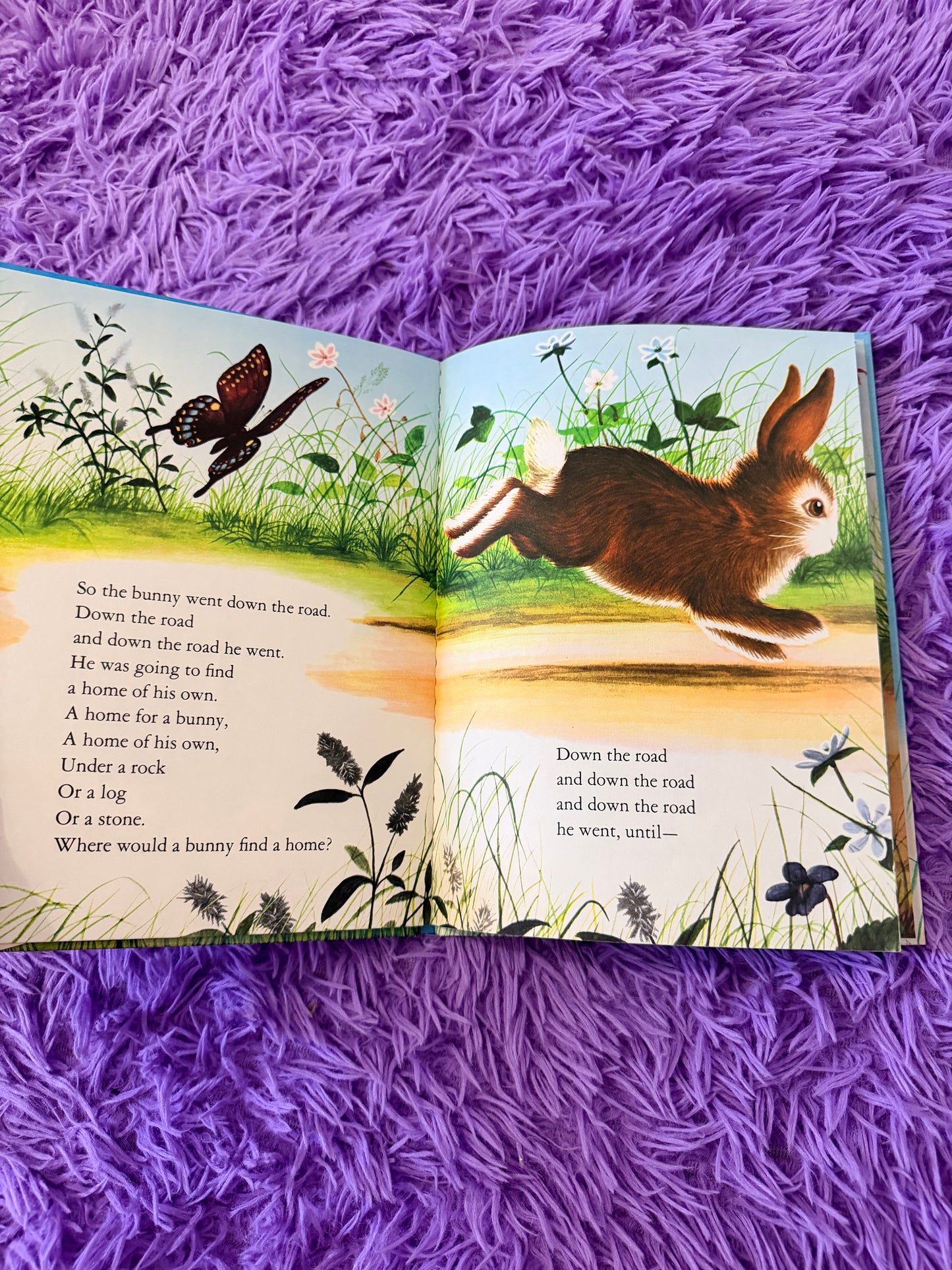 Home for a bunny book 1984
