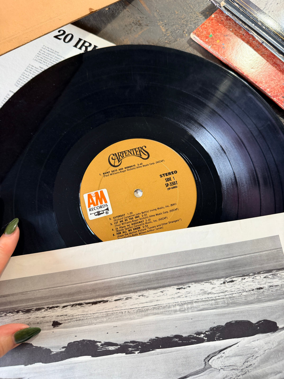 Carpenters vinyl record