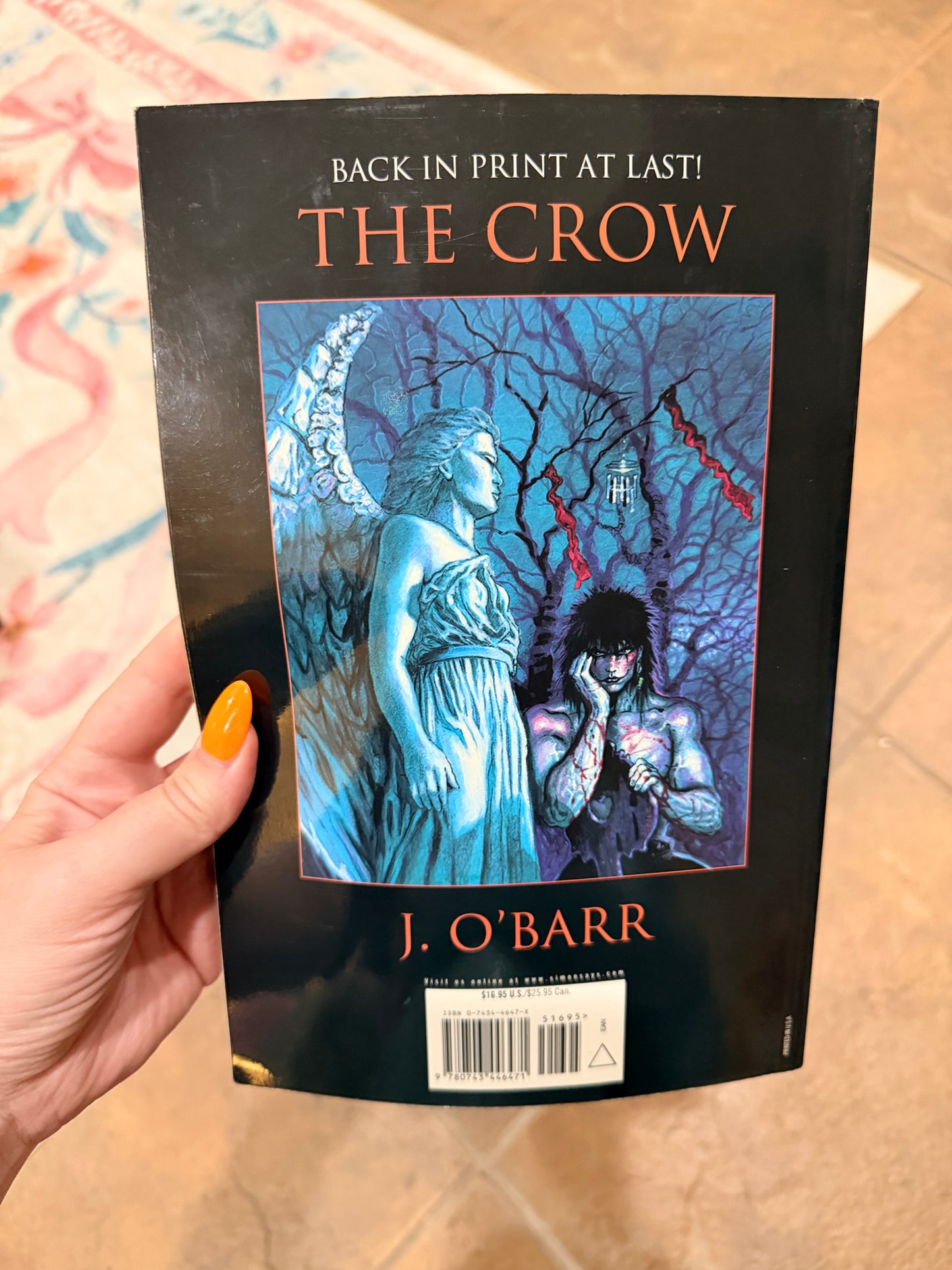 2002 the crow book