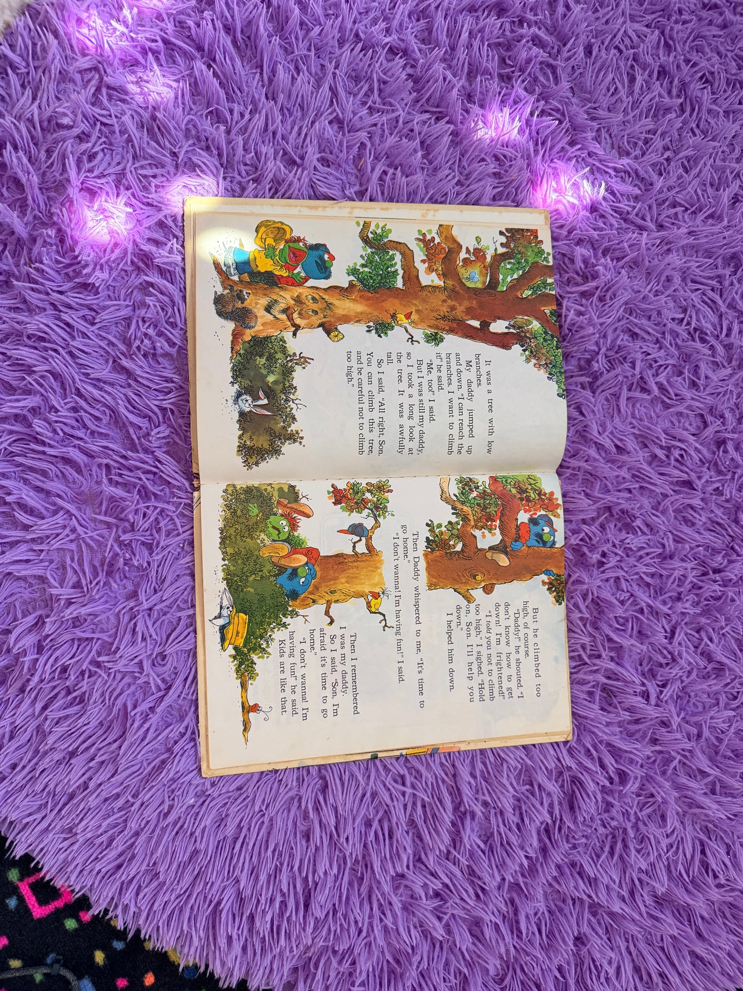 Sesame Street I’m My Mommy - I’m My Daddy 
Book