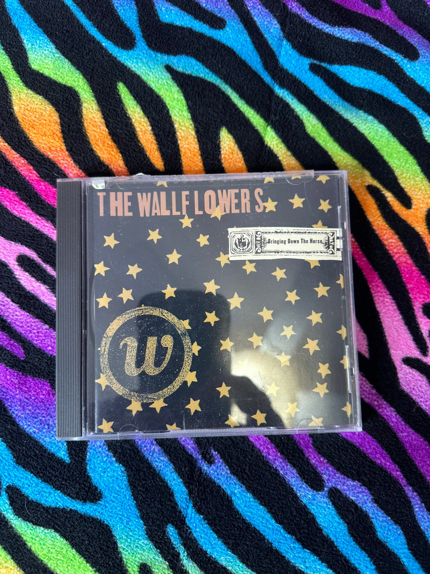 The Wallflowers: Bringing down the horse