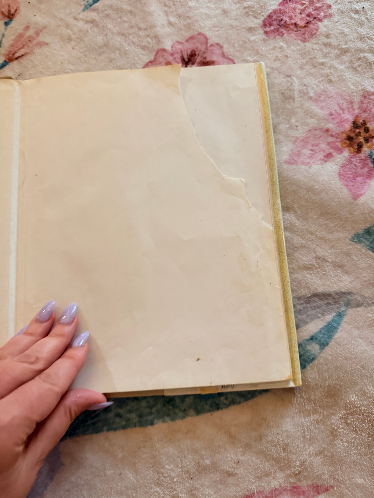 Amy the dancing bear by Carly Simon book