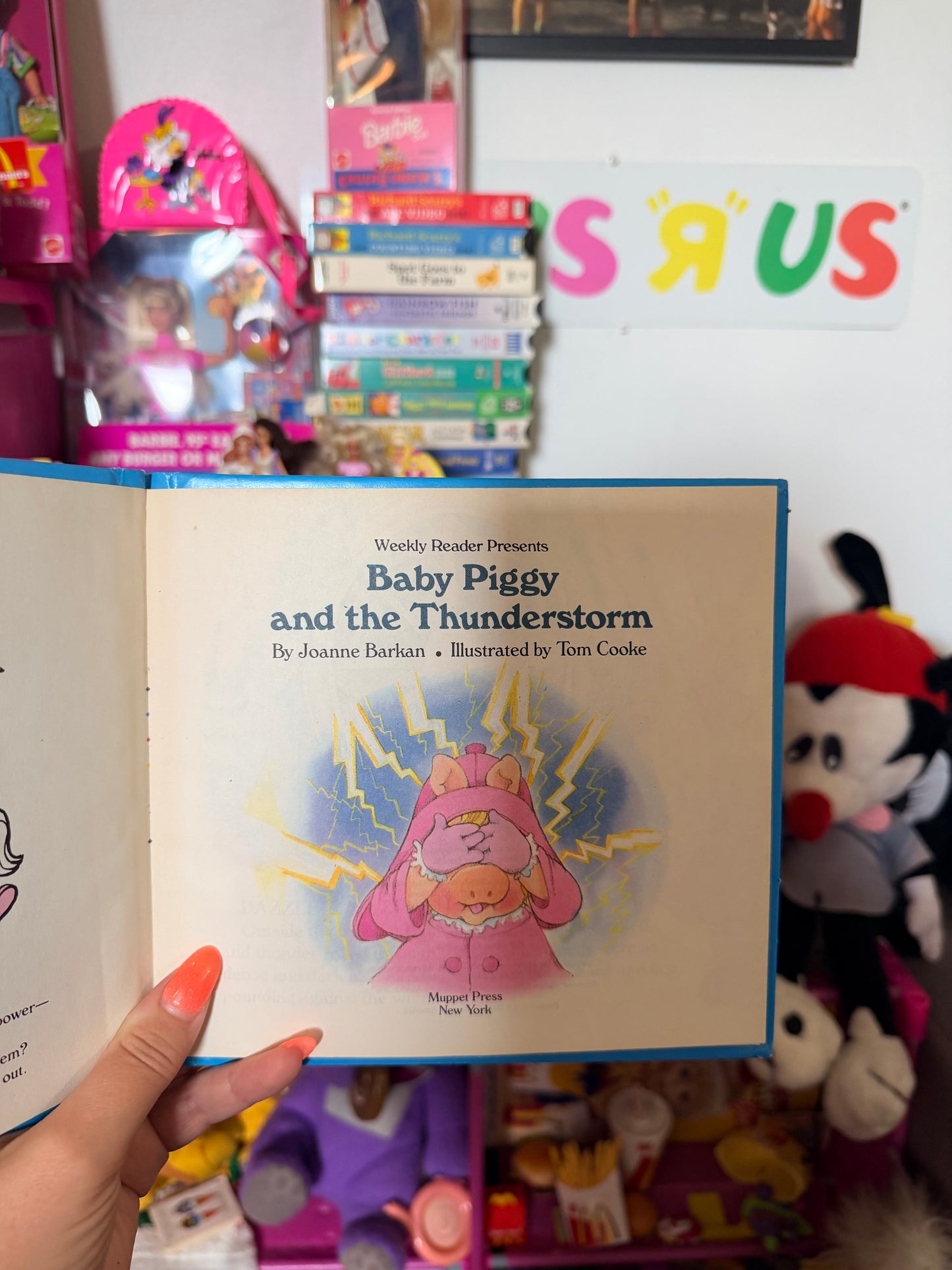 Baby piggy and the thunderstorm book