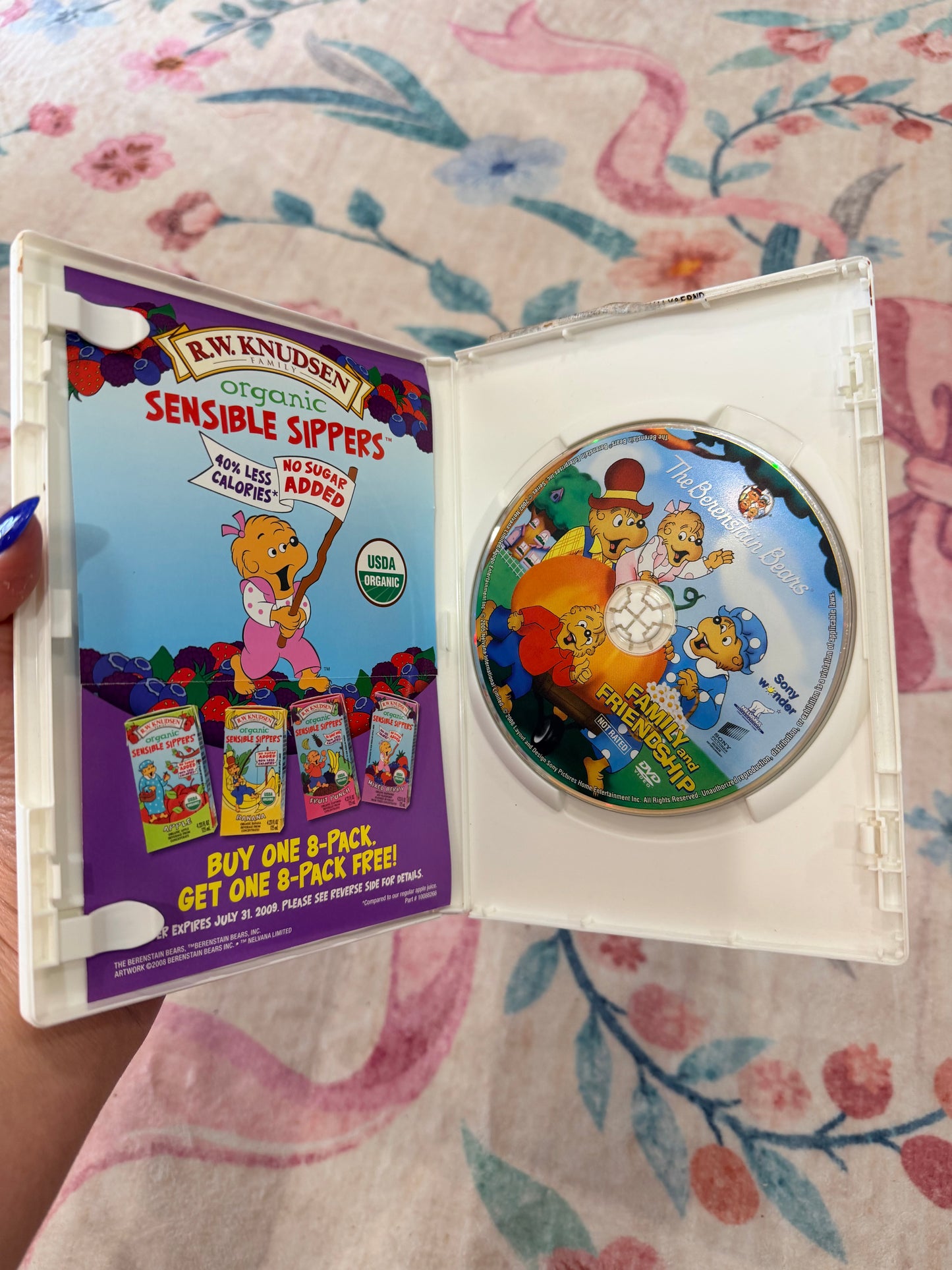 The Berenstain Bears family and friendship dvd