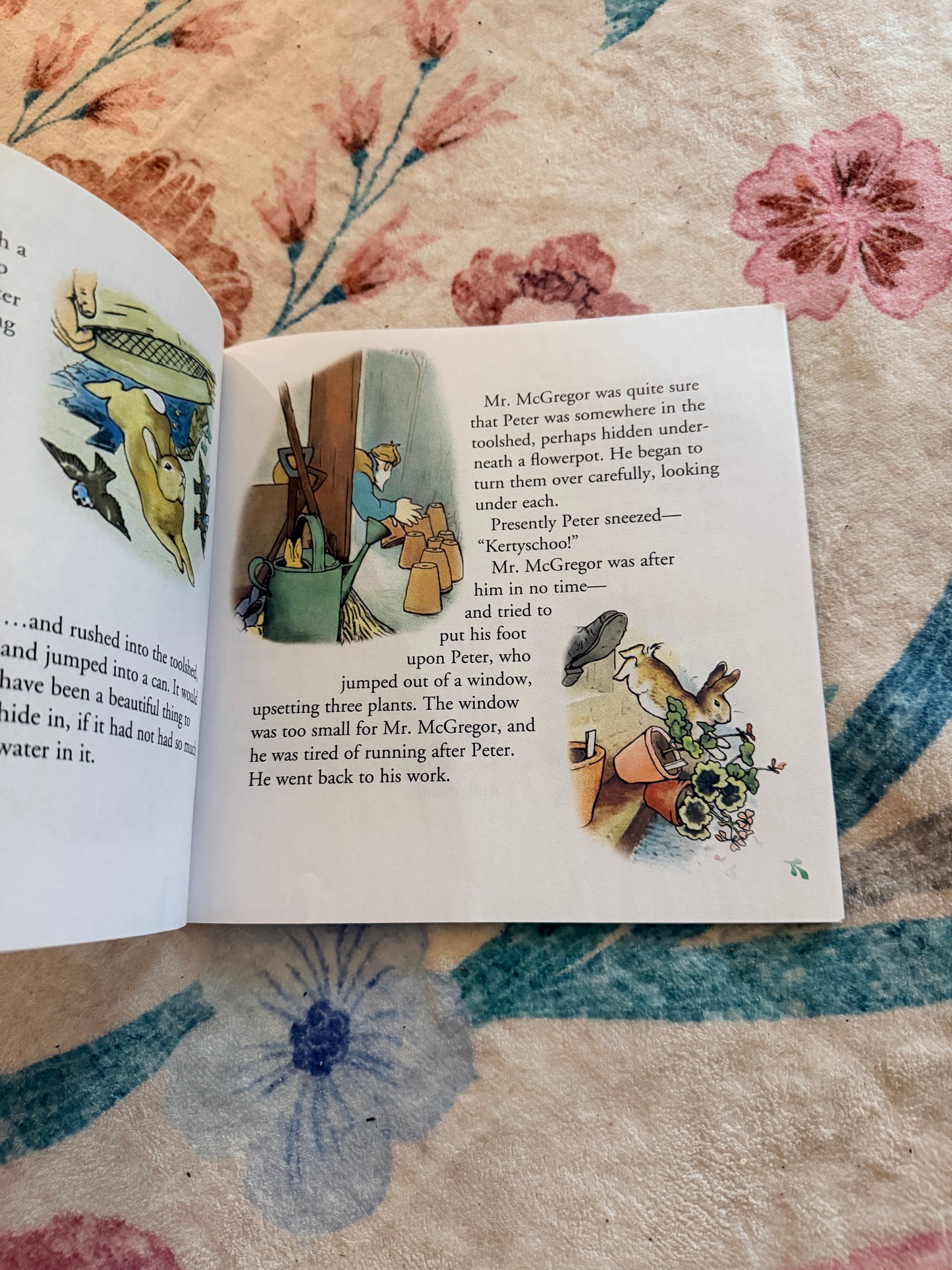 The tale of Peter Rabbit book