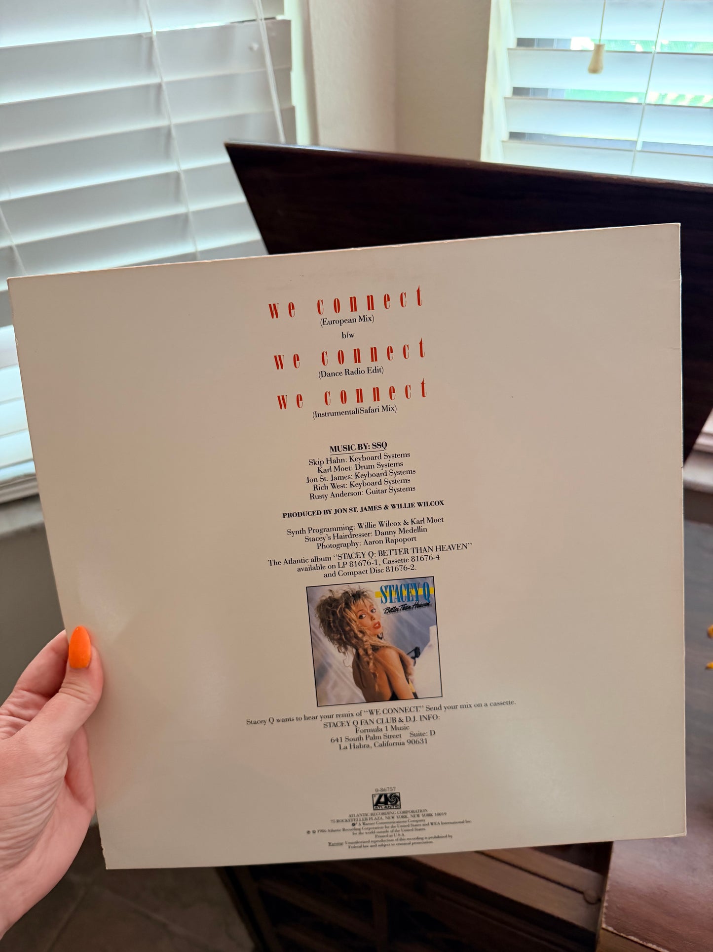 Stacey Q We Connect vinyl
