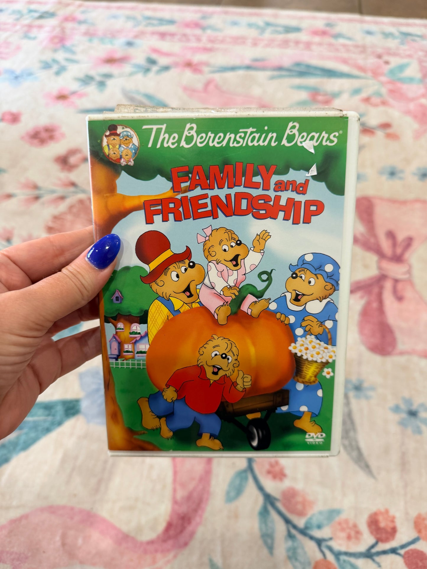 The Berenstain Bears family and friendship dvd
