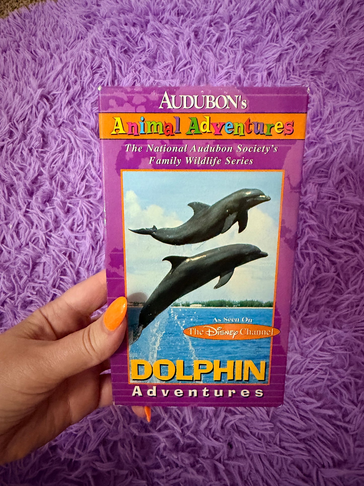 Dolphin Adventures vhs