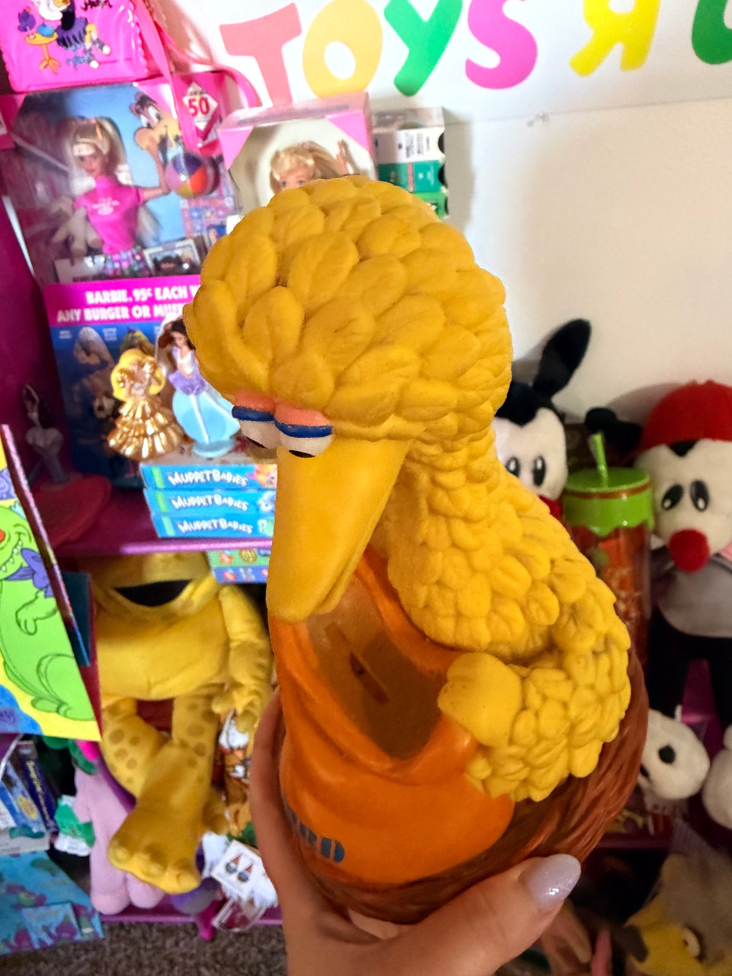Big Bird Bank