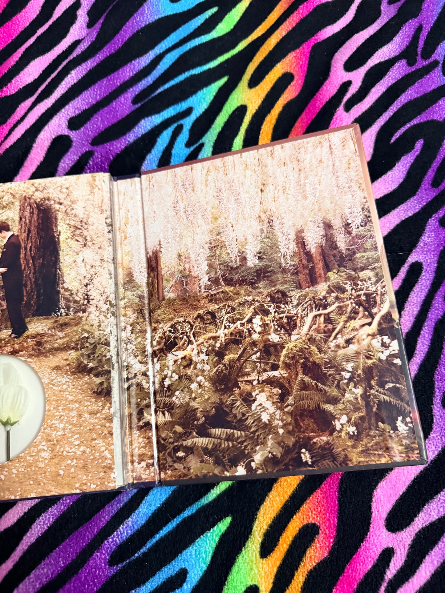 The Twilight Saga breaking Dawn part 1