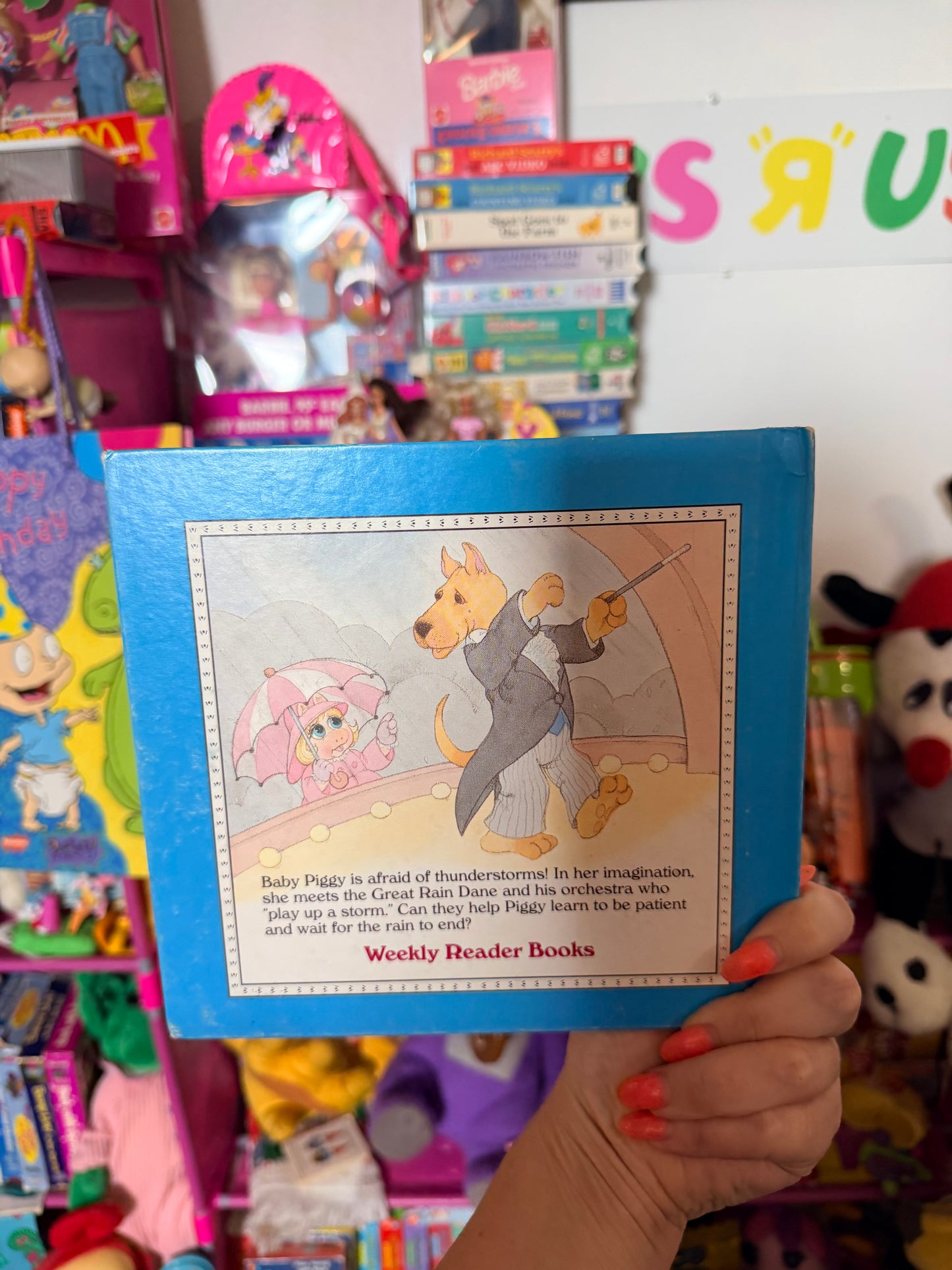 Baby piggy and the thunderstorm book
