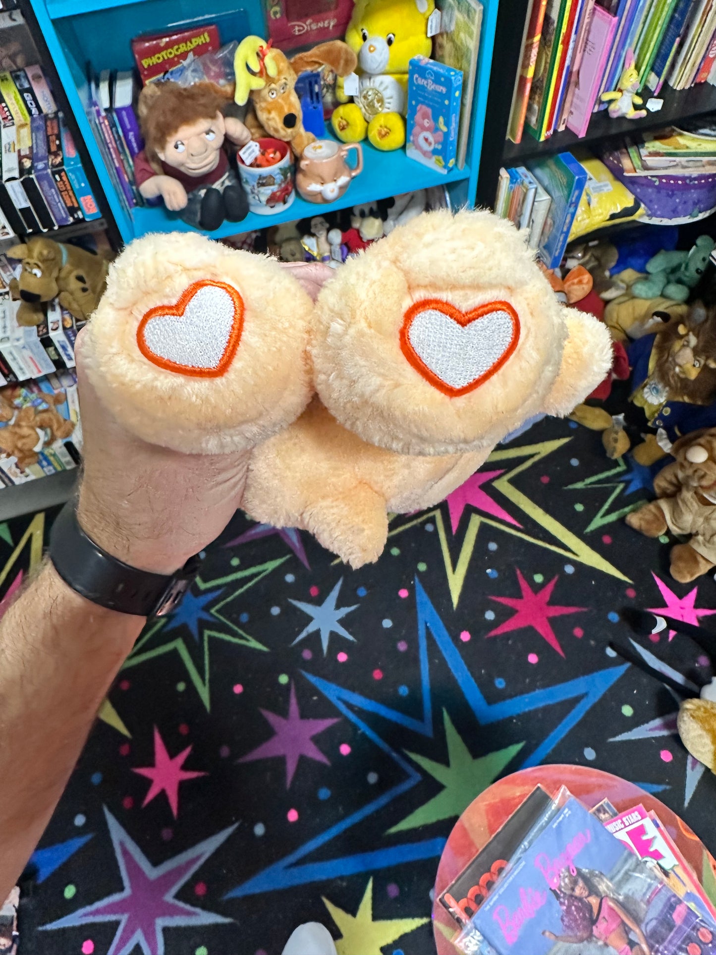 Friendship Bear Care Bear 2003