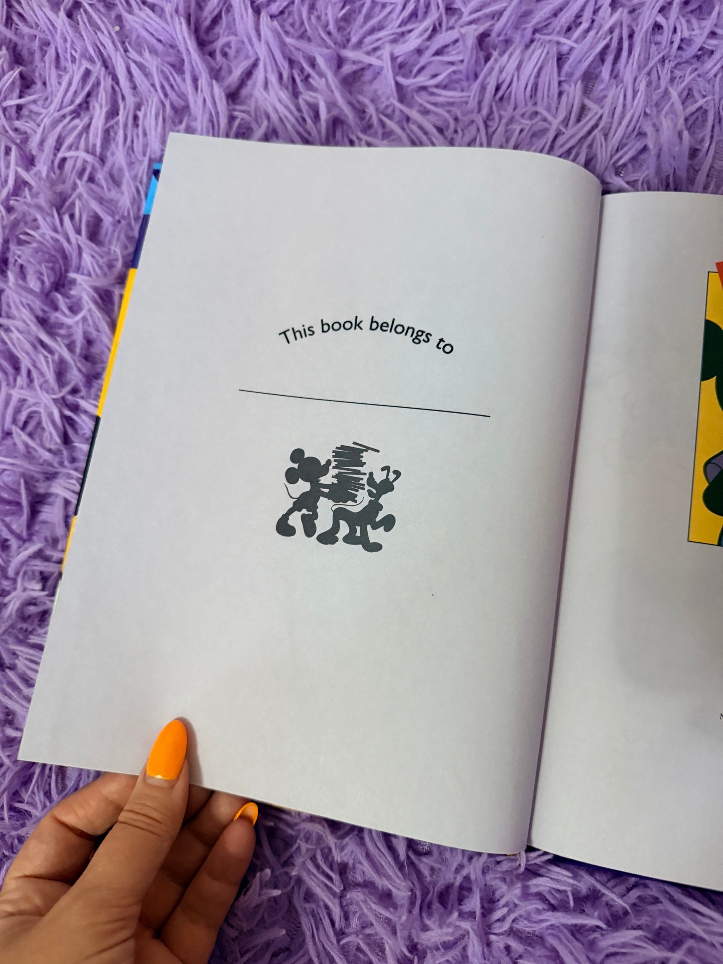 The Missing Shapes Mix-Up book