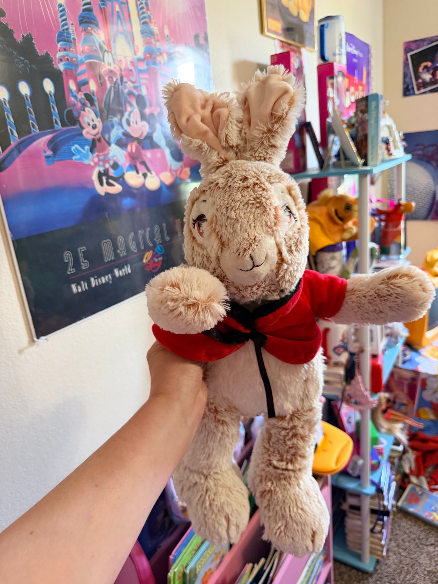 2020 Peter Rabbit Plush
