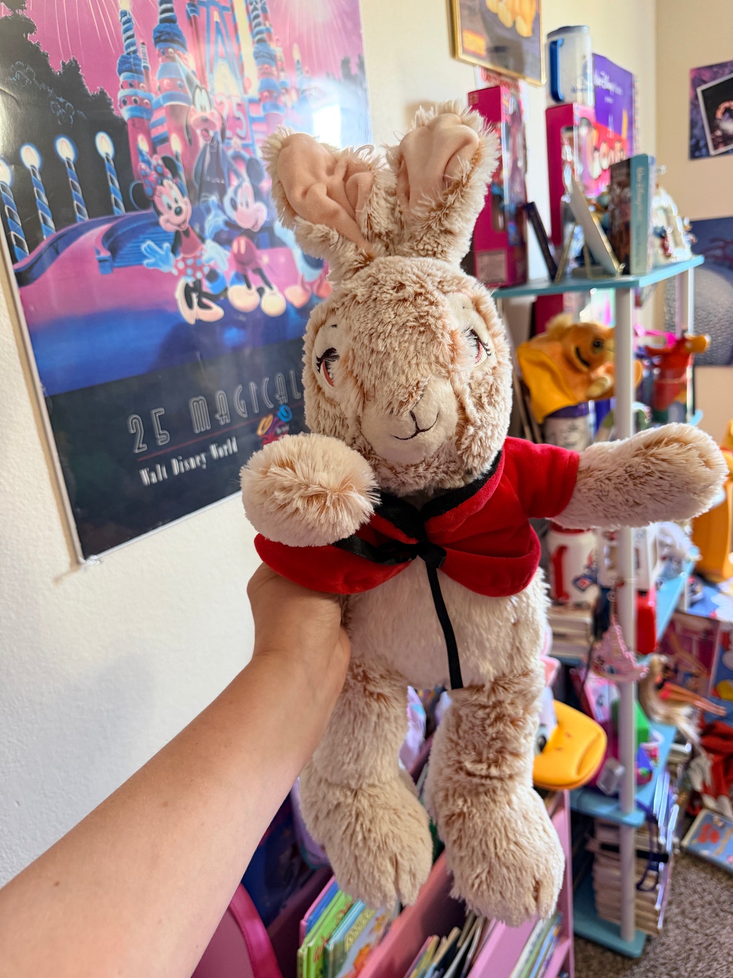 2020 Peter Rabbit Plush