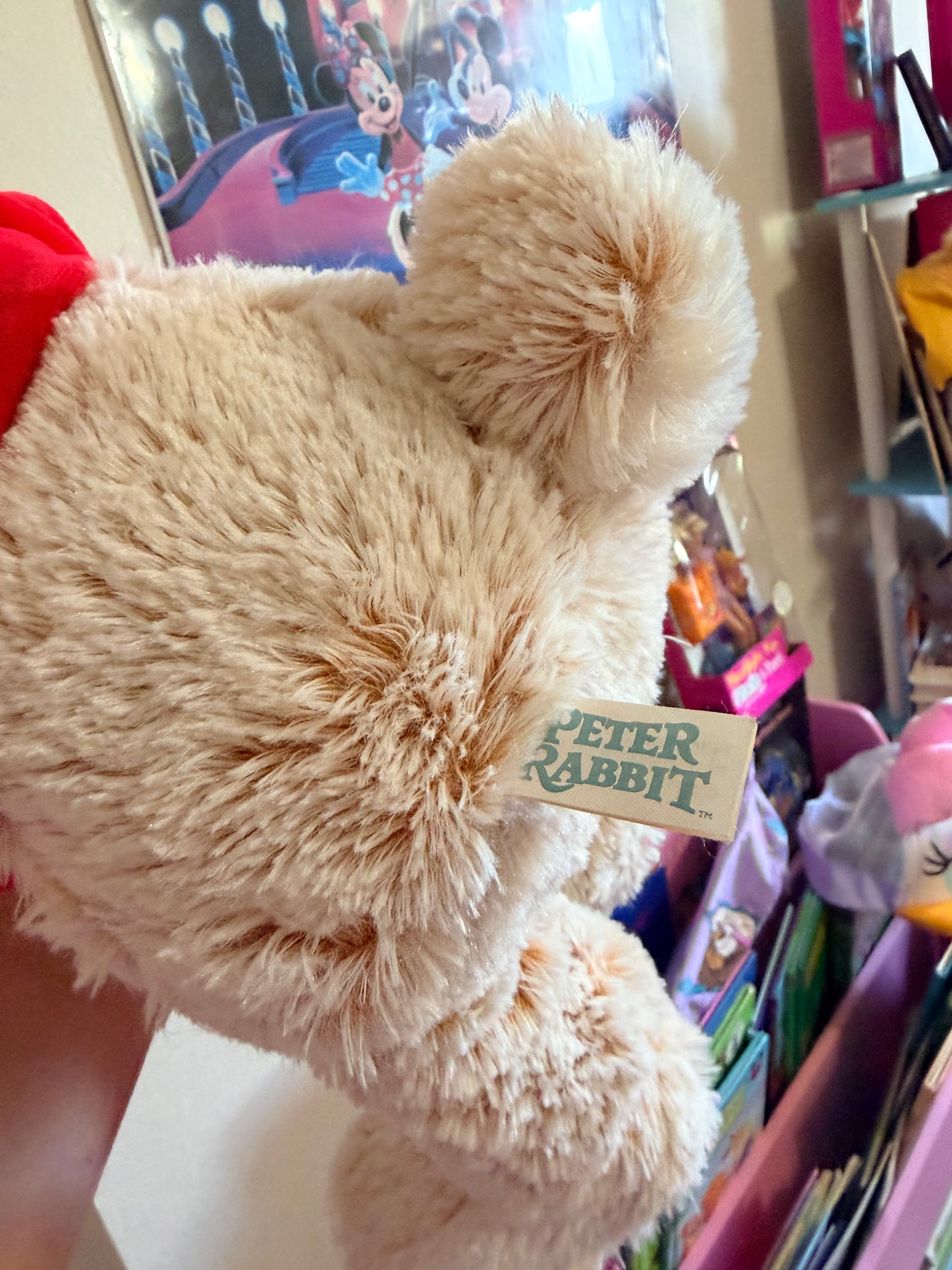 2020 Peter Rabbit Plush