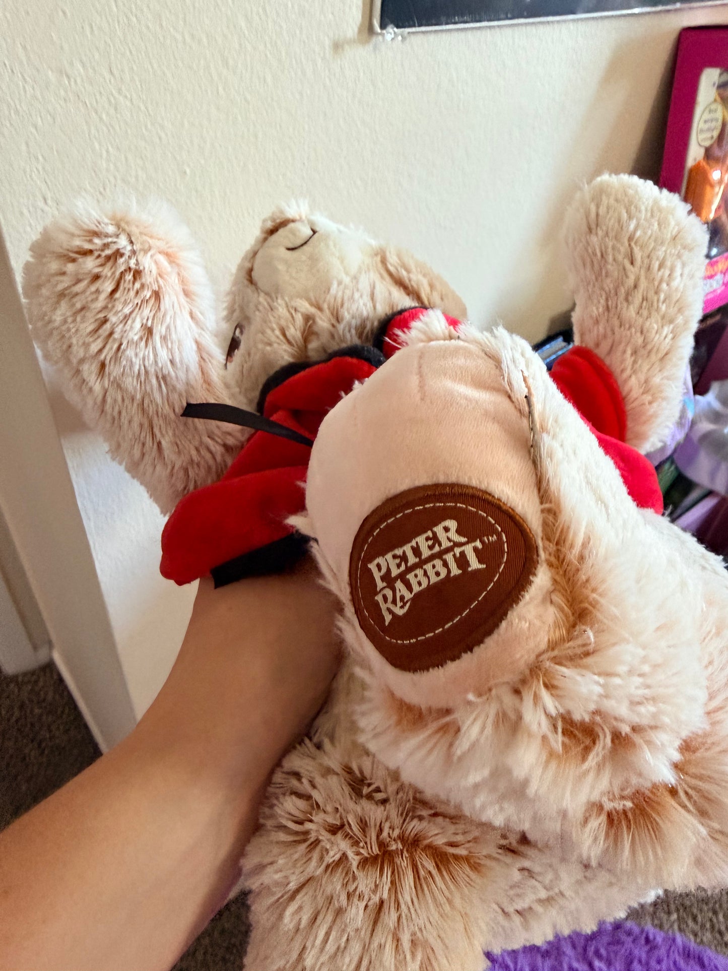 2020 Peter Rabbit Plush