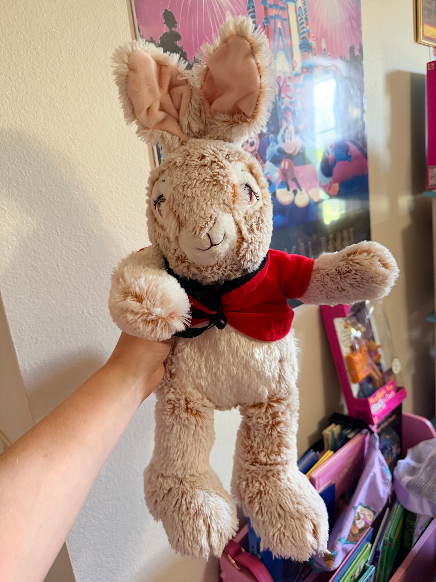 2020 Peter Rabbit Plush