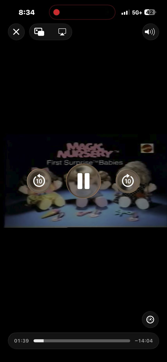 The four seasons Sesame Street goldenbook