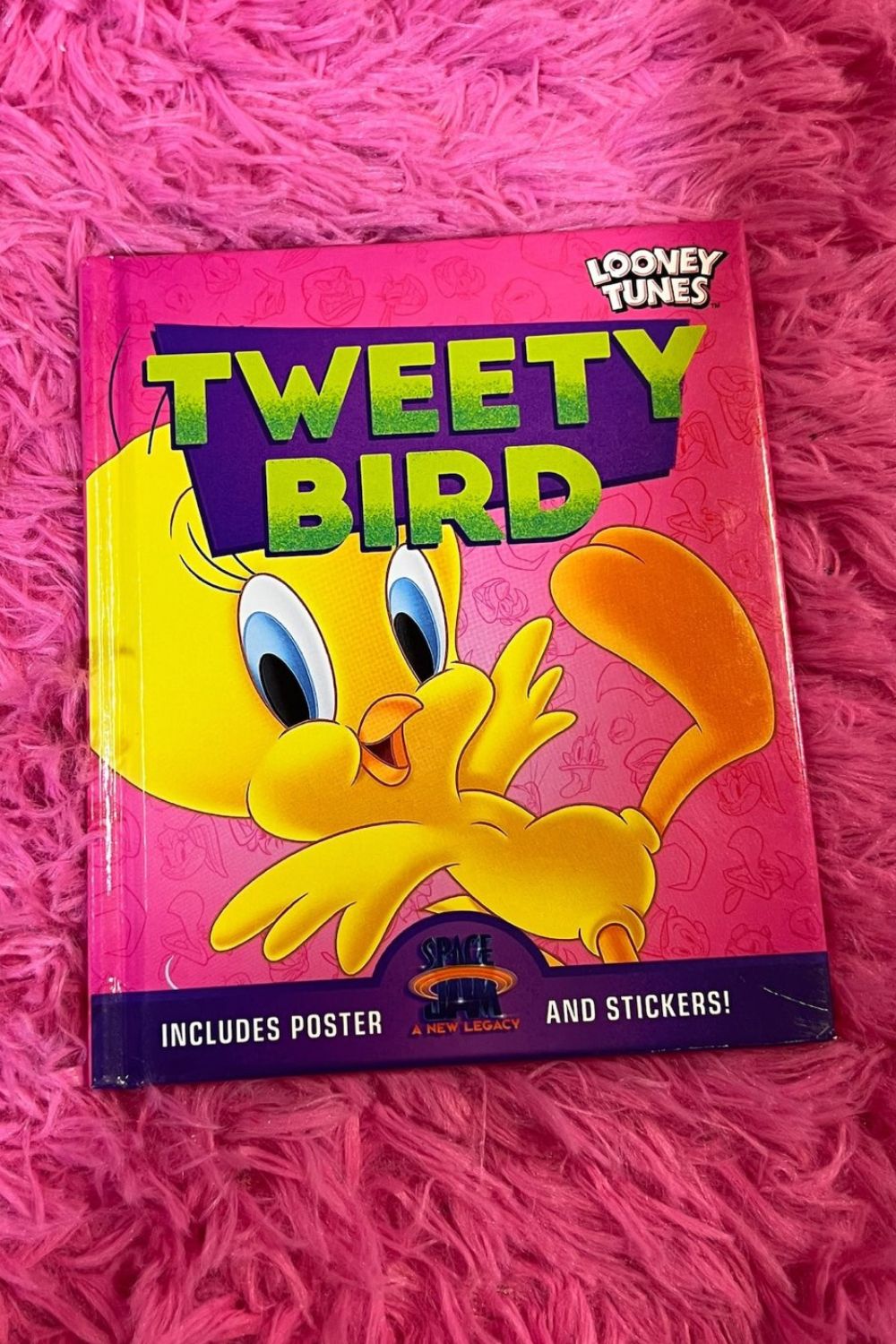 TWEETY BIRD MINI BOOK*