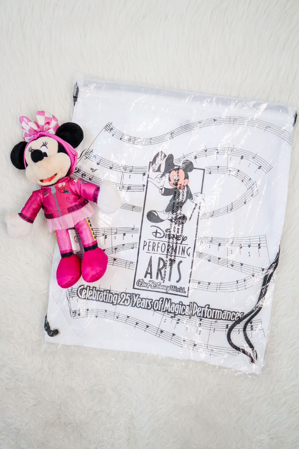 MICKEY BAG AND MINNIE PLUSH