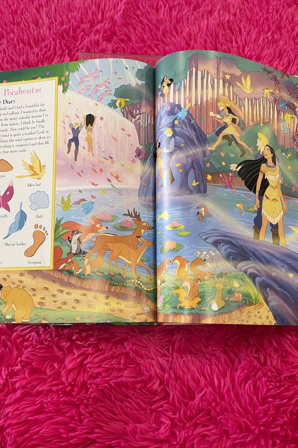 LOOK AND FIND DISNEY PRINCESS BOOK*