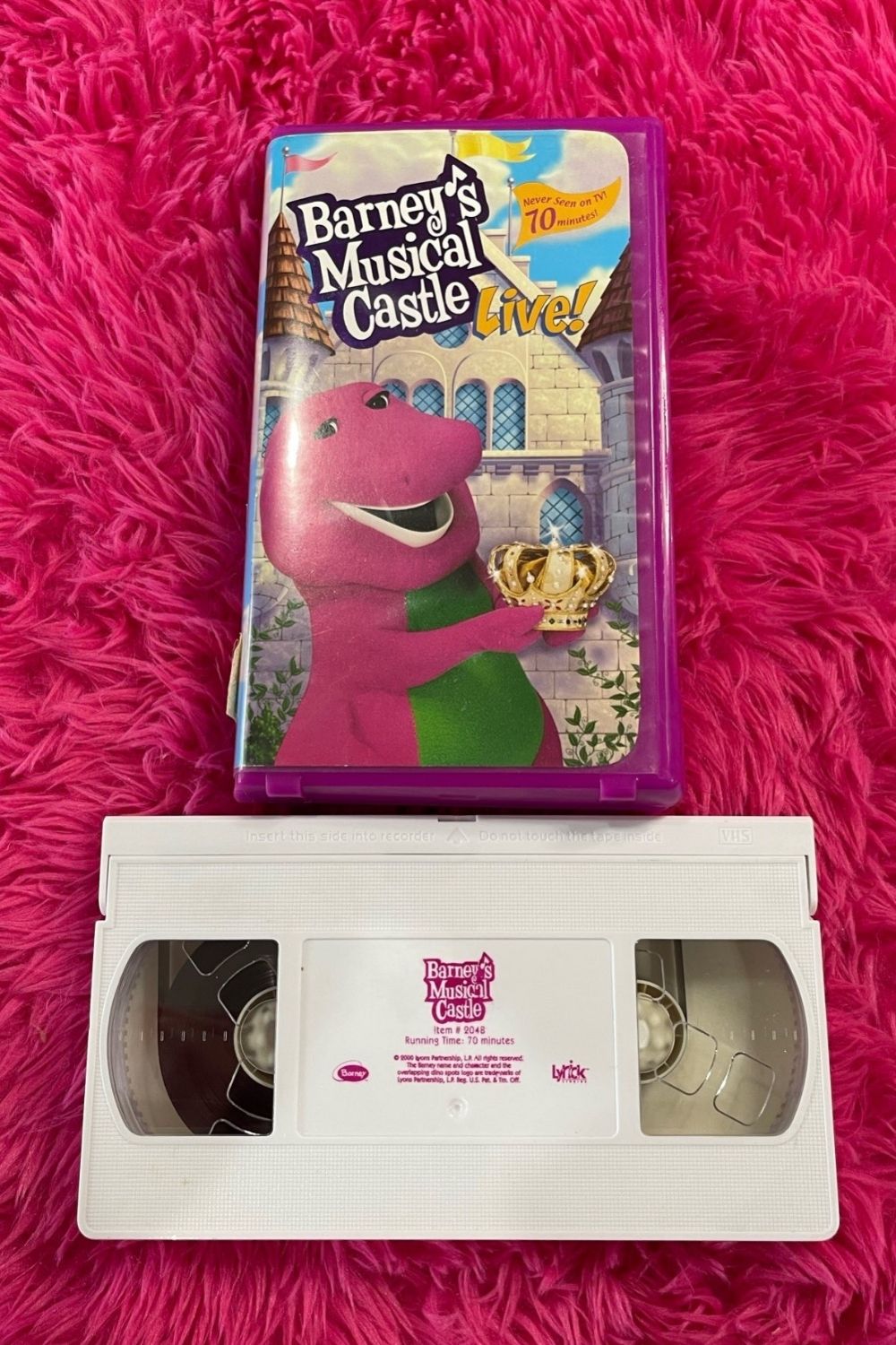 BARNEY'S MUSICAL CASTLE VHS*