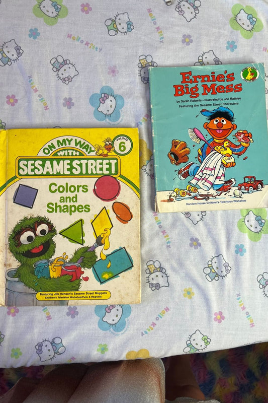 80'S SESAME STREET BOOK BUNDLE*