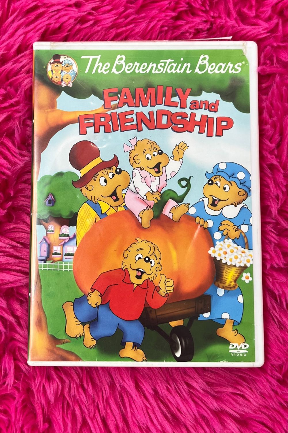 BERENSTAIN BEARS - FAMILY & FRIENDSHIP DVD